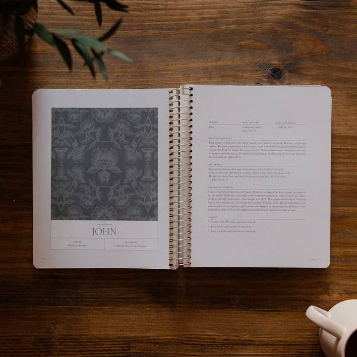 Study Journal - A Year In The Bible Volume 4