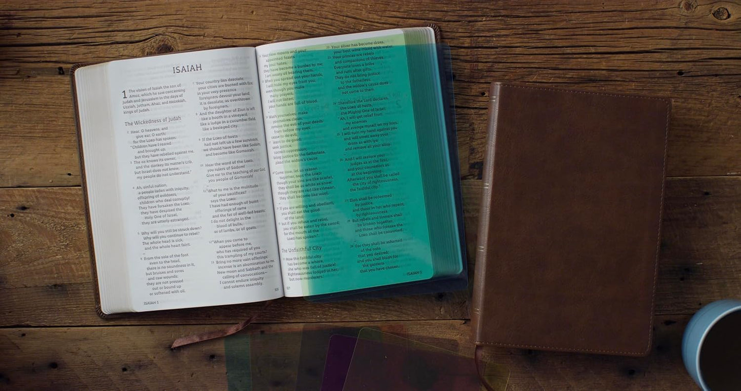 Bible - ESV Dyslexia Friendly