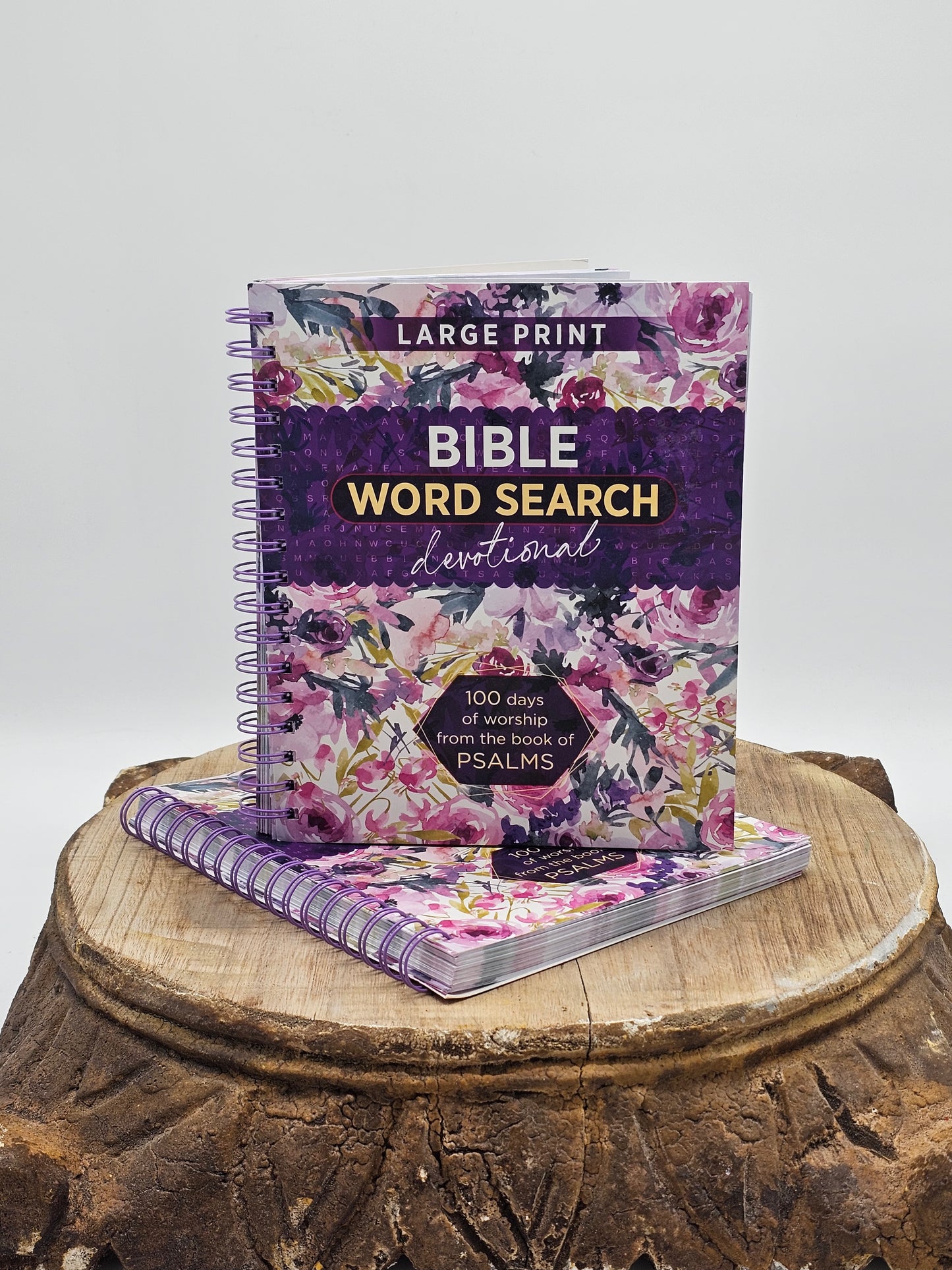 Spiritual Growth | Word Search Devotional Large Print