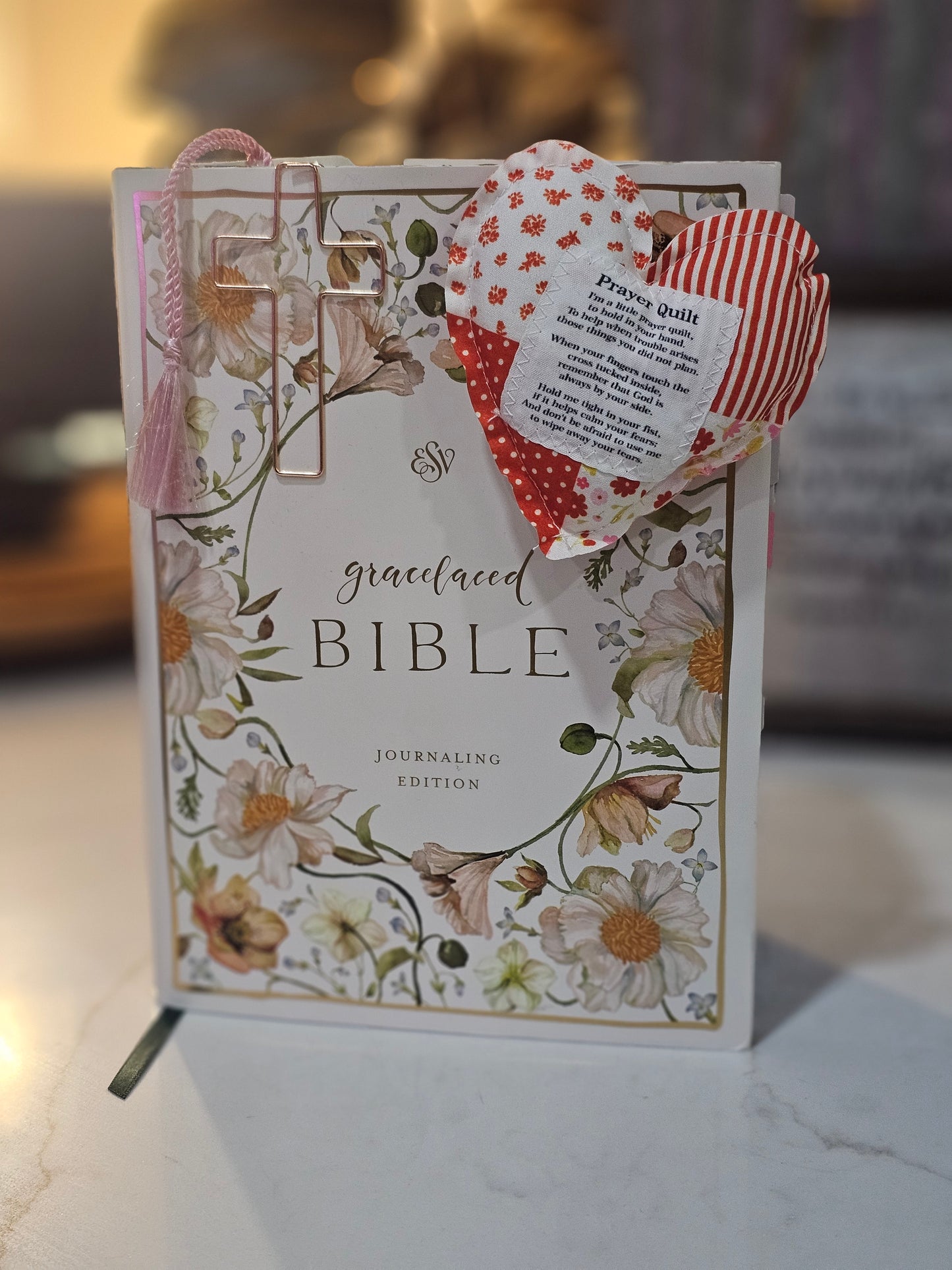 Bible - Loaded GraceLaced Journaling