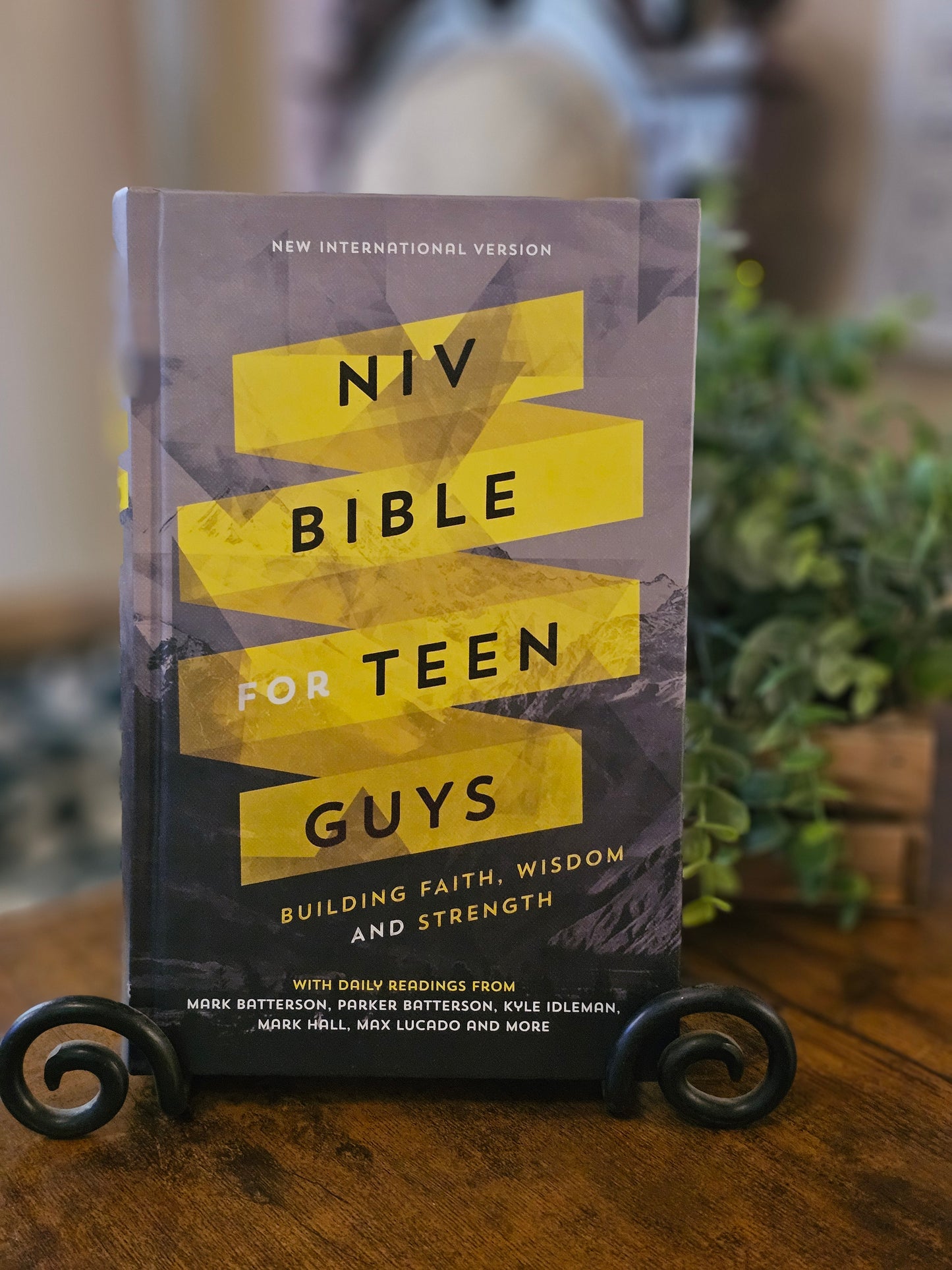 Bible - NIV For Teen Guys