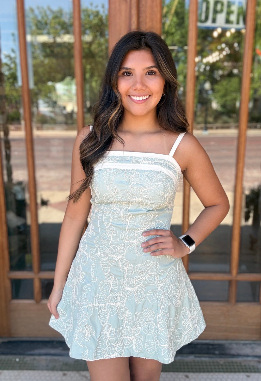 Dress - Sage Bloom Embroidered Mini