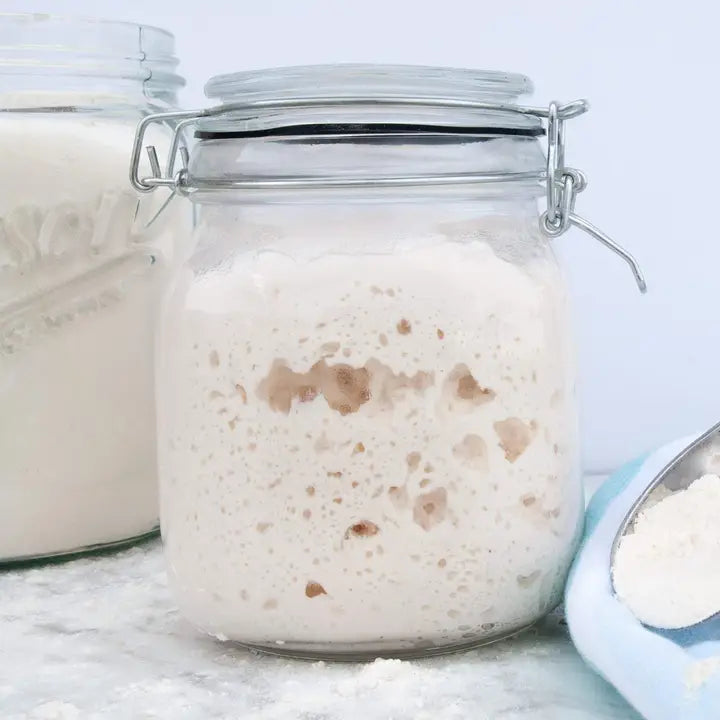 Sourdough Starter