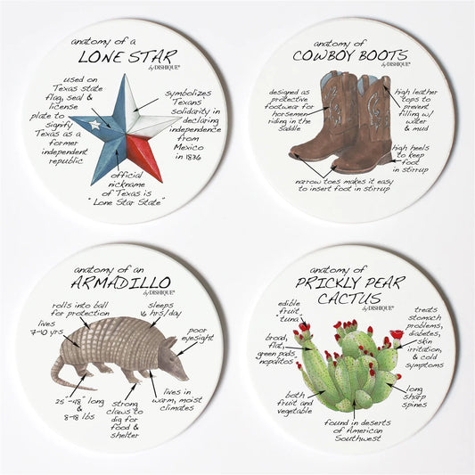 Coasters | Texas - Anatomy Coaster Set