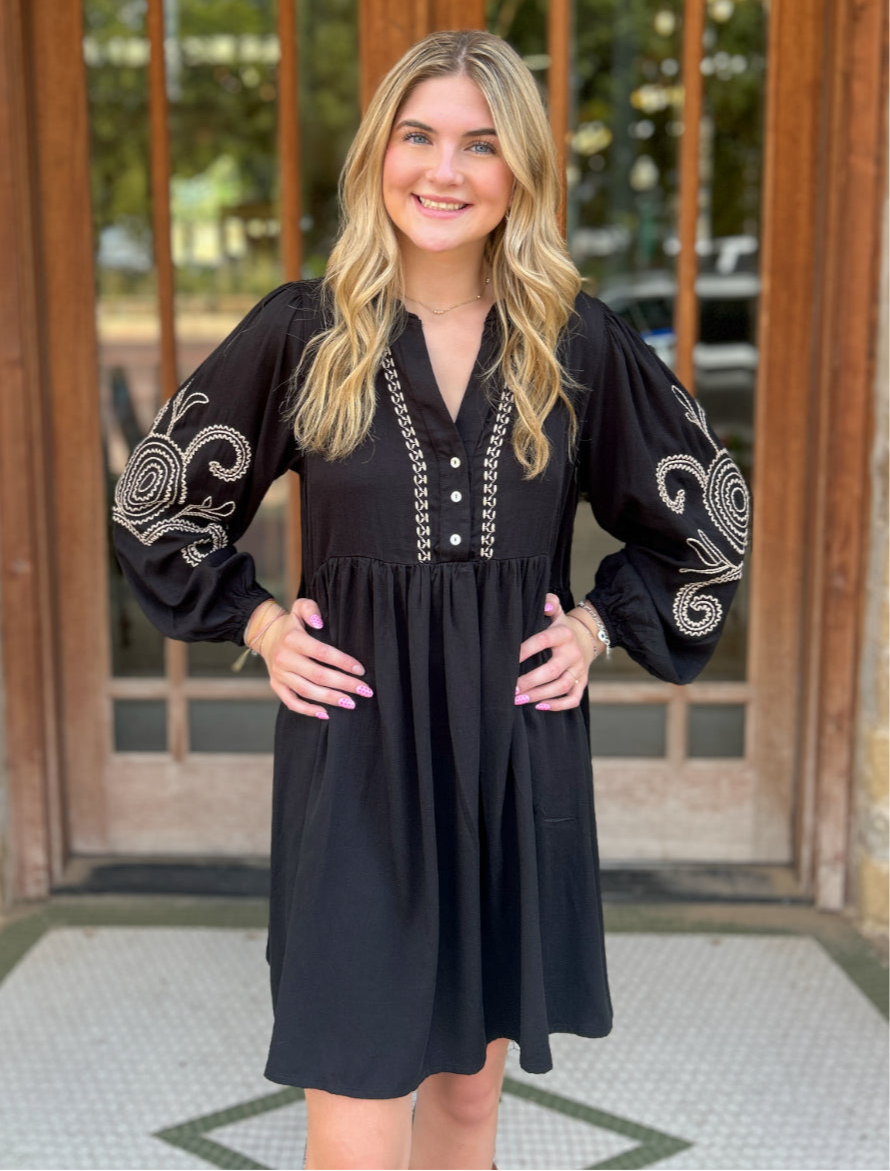 Dress | Mini Black Paisley Embroidered V-Neck Baby Doll