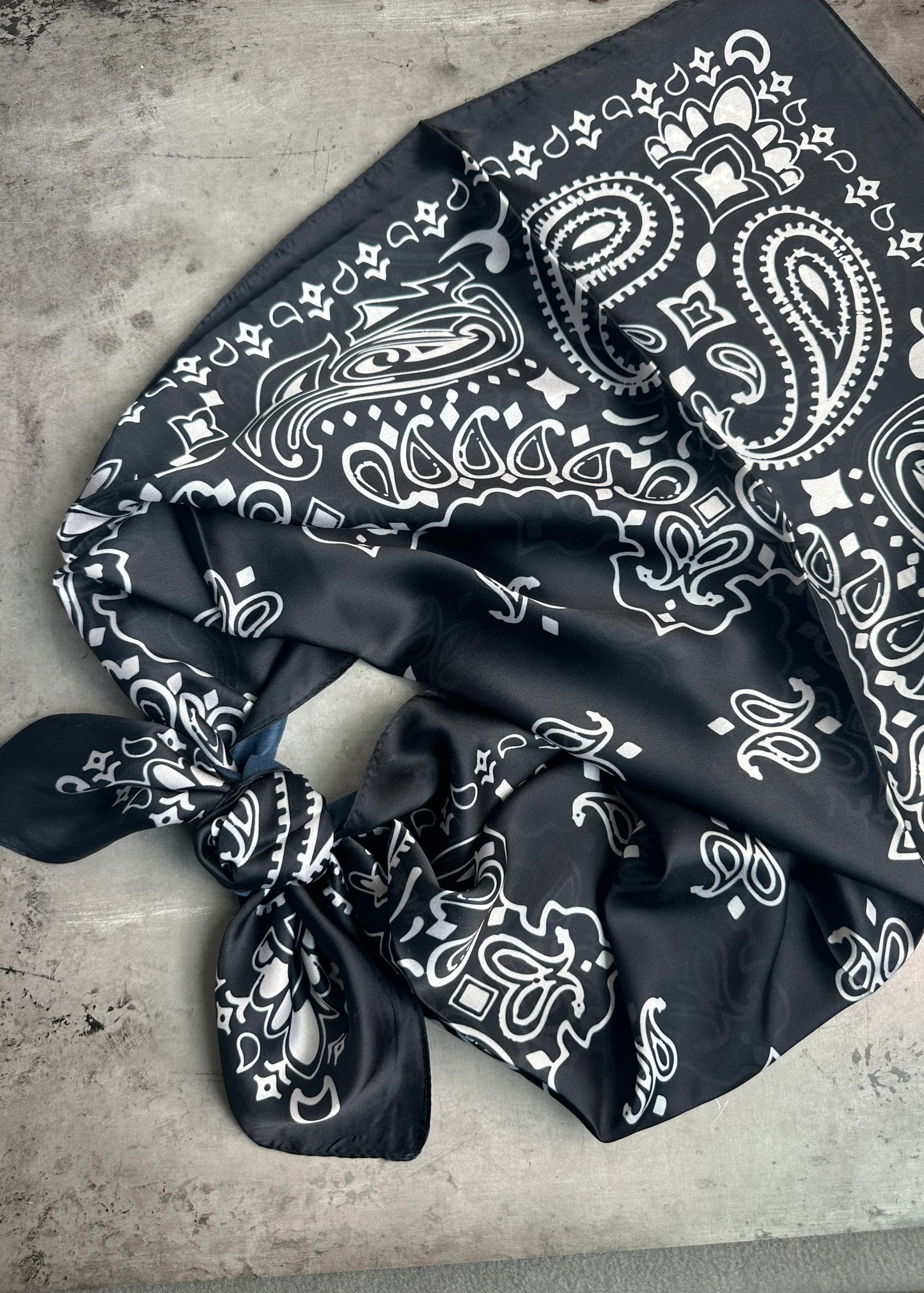 Clothing Accessories | A Rare Bird Wild Rag