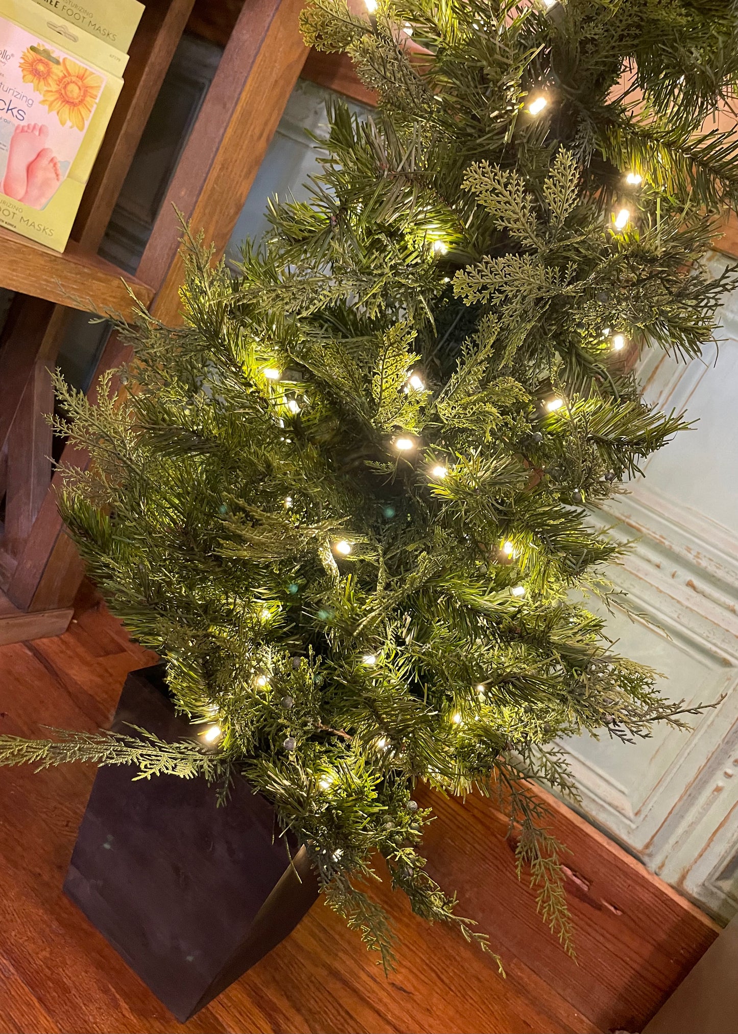 Lit Cedar & Pine Tree in Wood Box