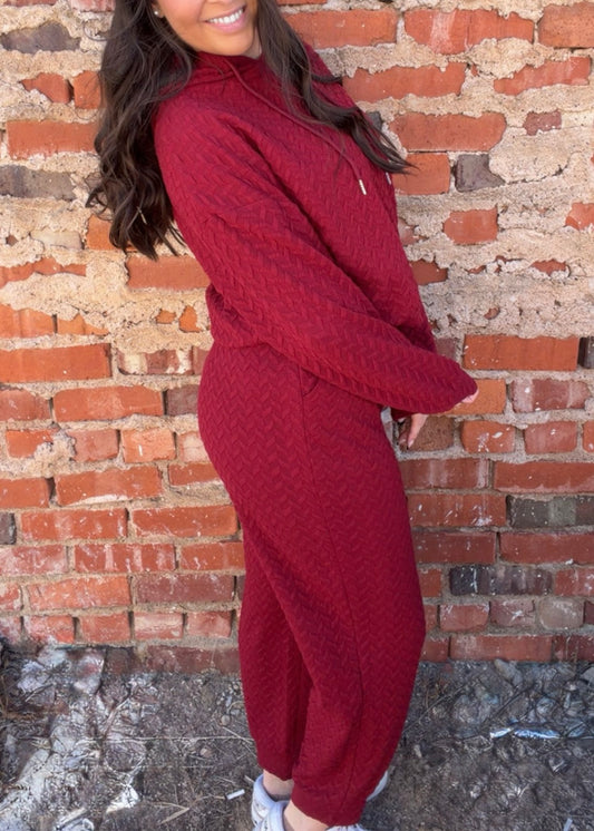 Sets | Sweatshirt & Pants Red Textured Jacquard Hoodied