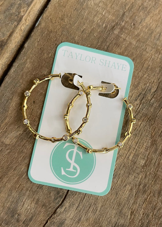 Jewelry | Earrings Reagan Hoops Taylor Shaye