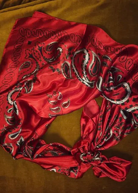 Clothing Accessories | A Rare Bird Wild Rag