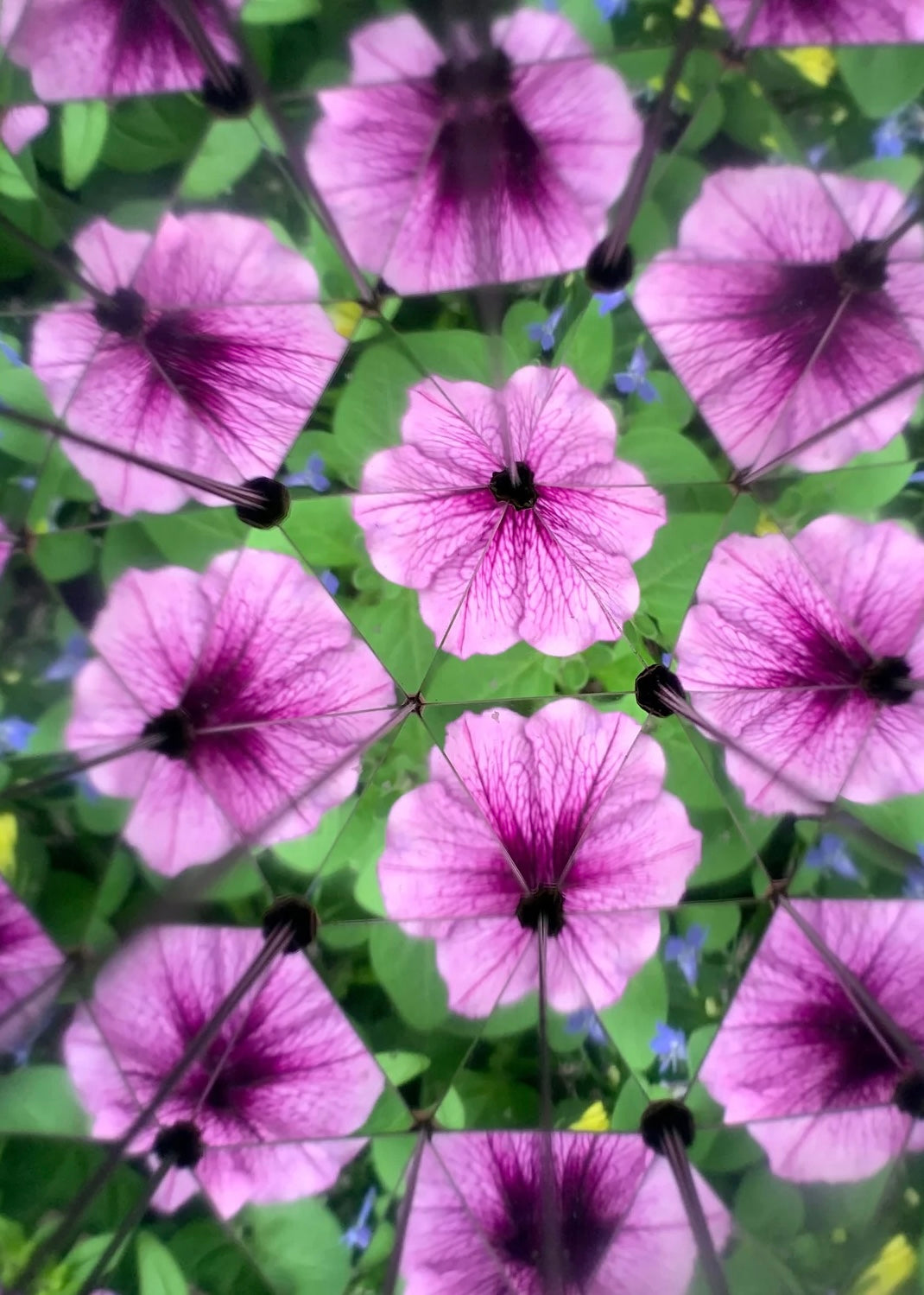 Kikkerland Huckleberry Diy Kaleidoscope