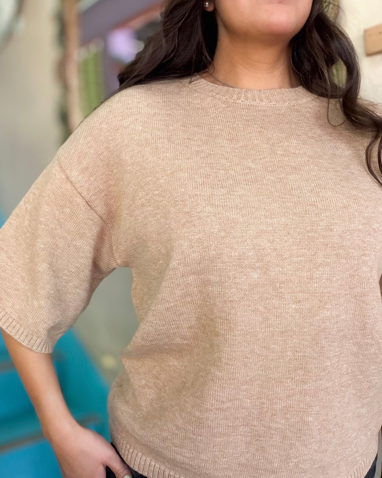 Taupe Short Sleeve Sweater