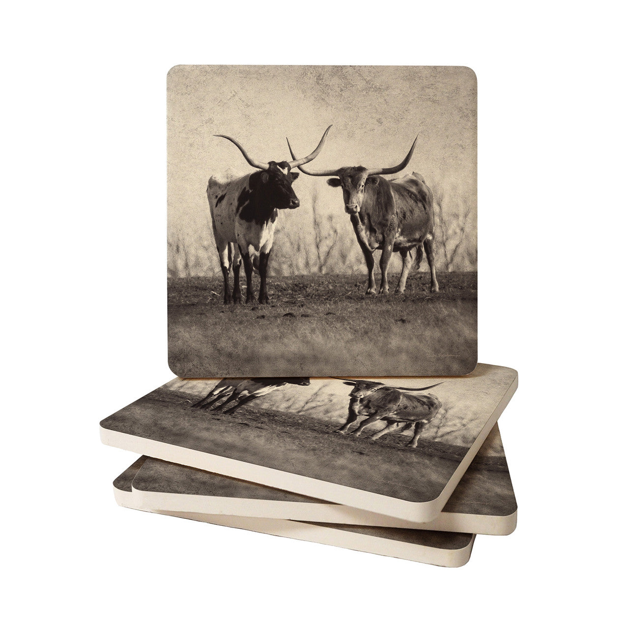 Coasters | Texas Longhorns