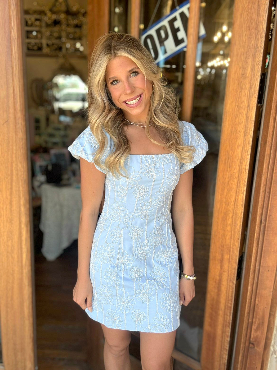 Dress - Sky Blossom Embroidered Mini