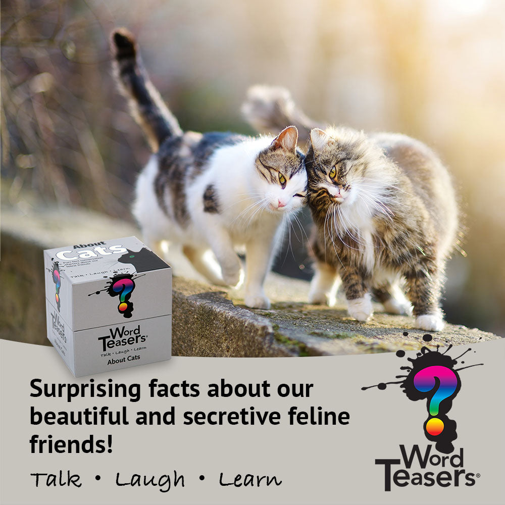 Games | Word Teasers: About Cats