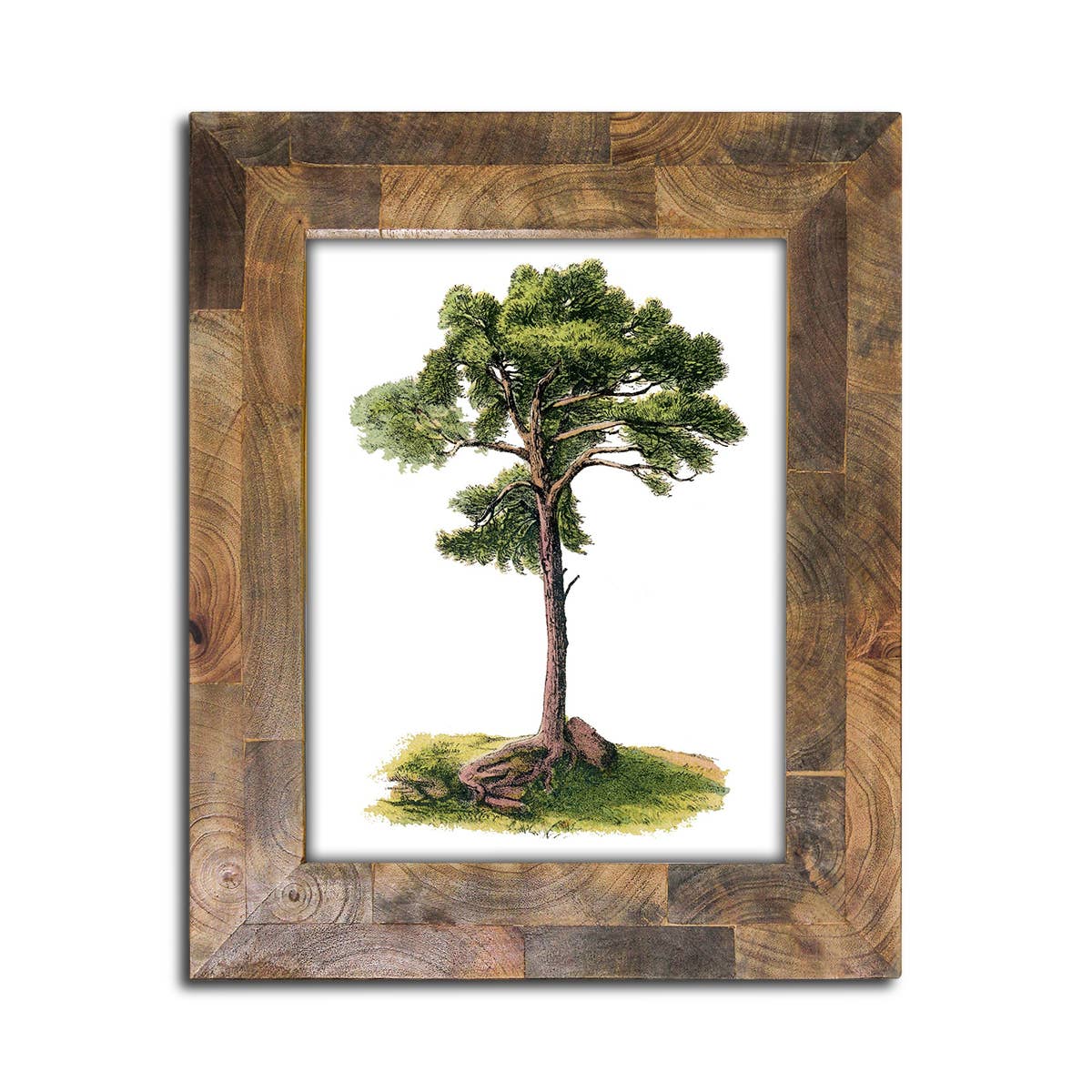 Housewares | Wood Photo Frame 8x10"