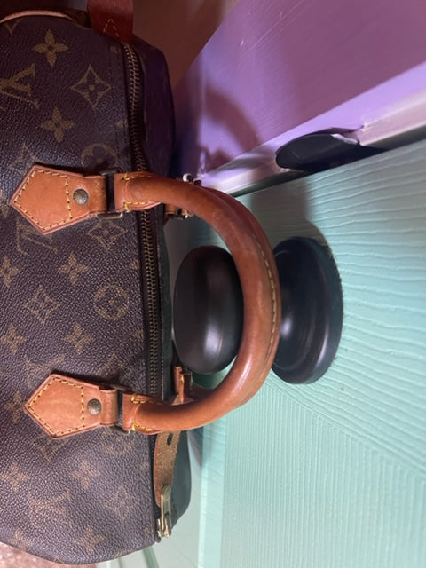 Louis Vuitton (Gently Loved) Speedy 30