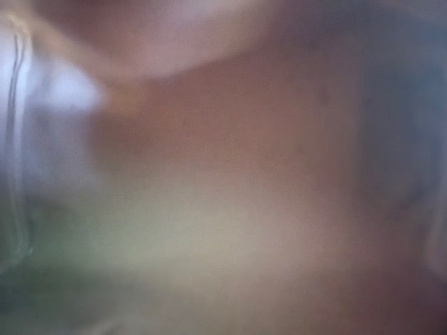 Louis Vuitton Speedy 35 (Gently Loved)