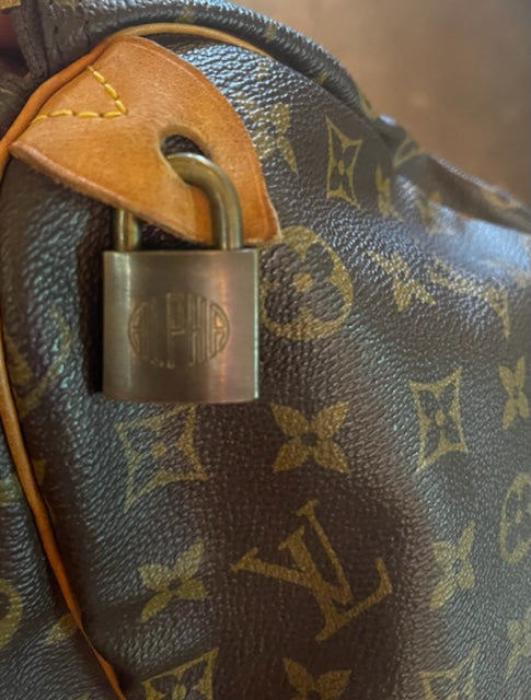 Louis Vuitton (Gently Loved) Speedy 35
