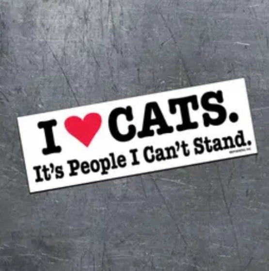 Magnets | Large Magnets