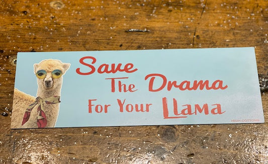 Home Decor | Magnets - Decorative Magnets - 3 designs