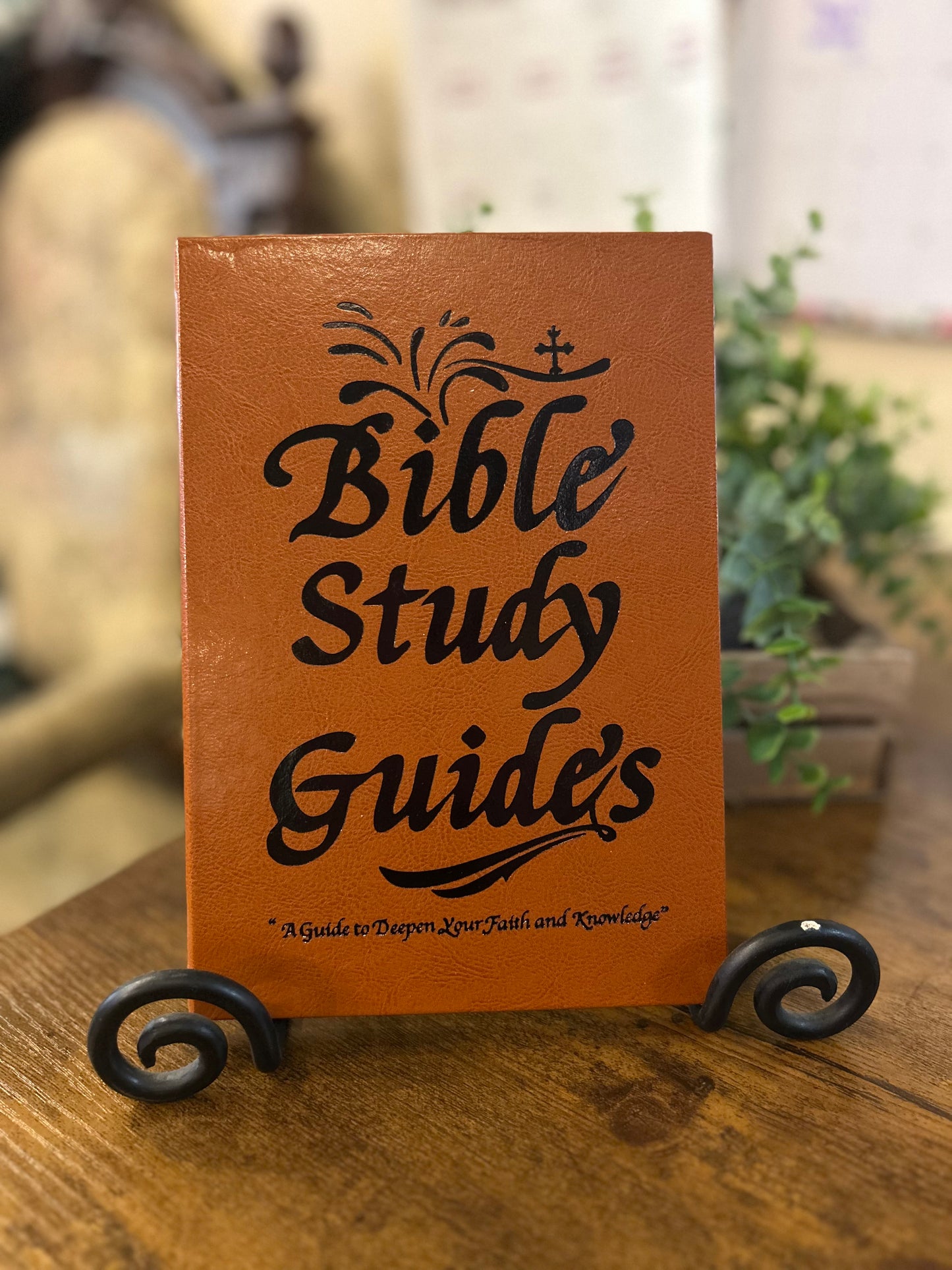 Study Guide - Books Of The Bible