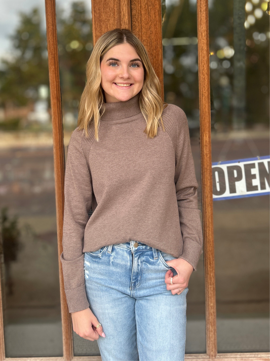 Tops | Turtleneck Solid Sweater Brown