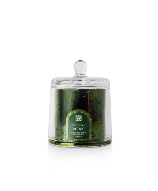 Candle - The Smell of Tree Cloche Candle