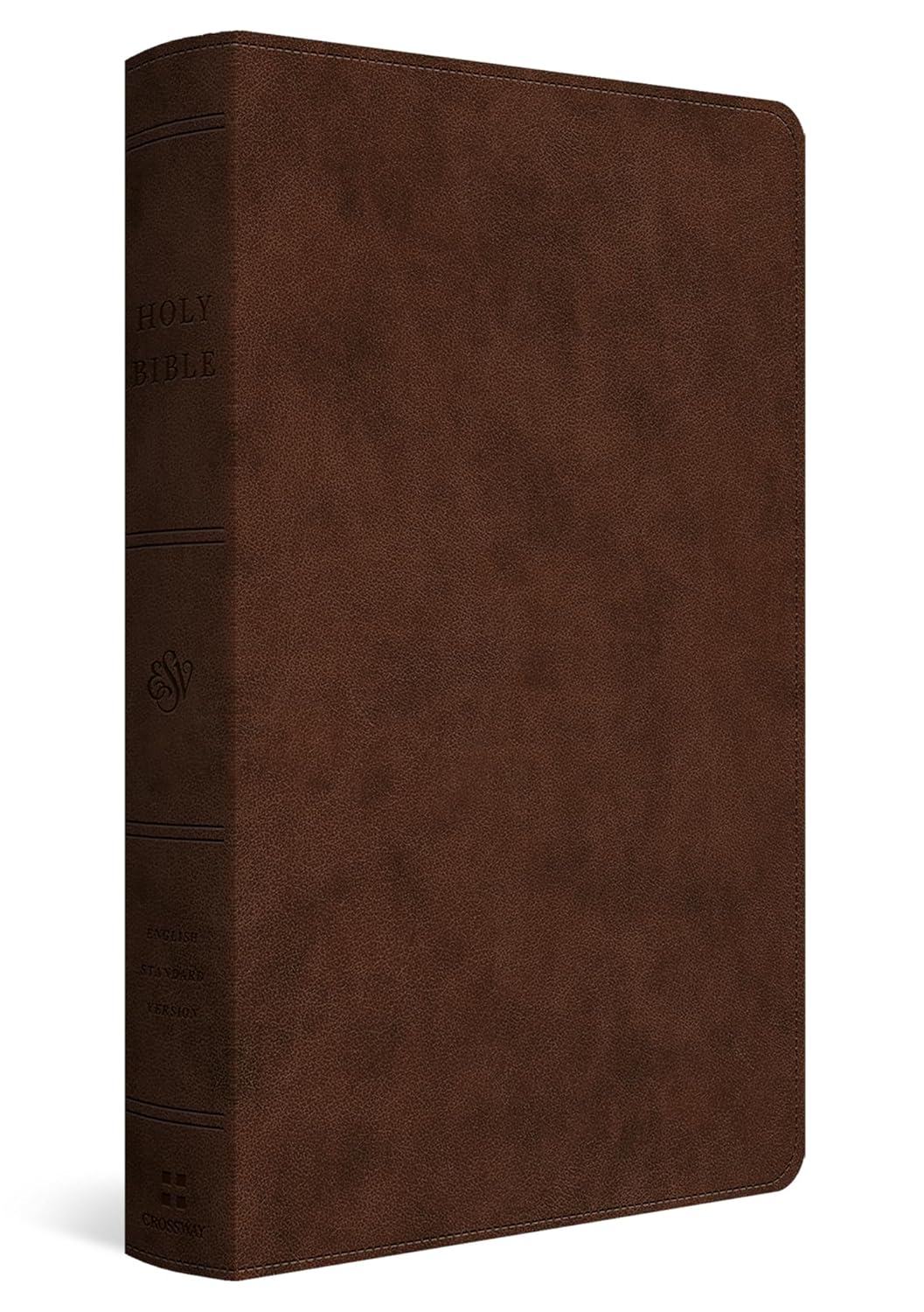 Bible - ESV Dyslexia Friendly