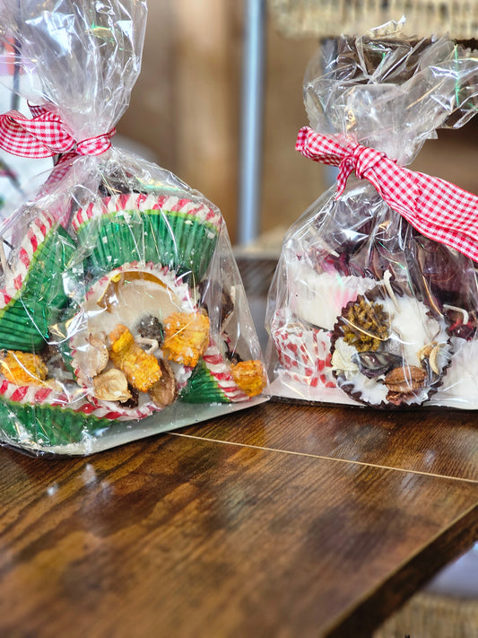 Home | Fire Starters Holiday