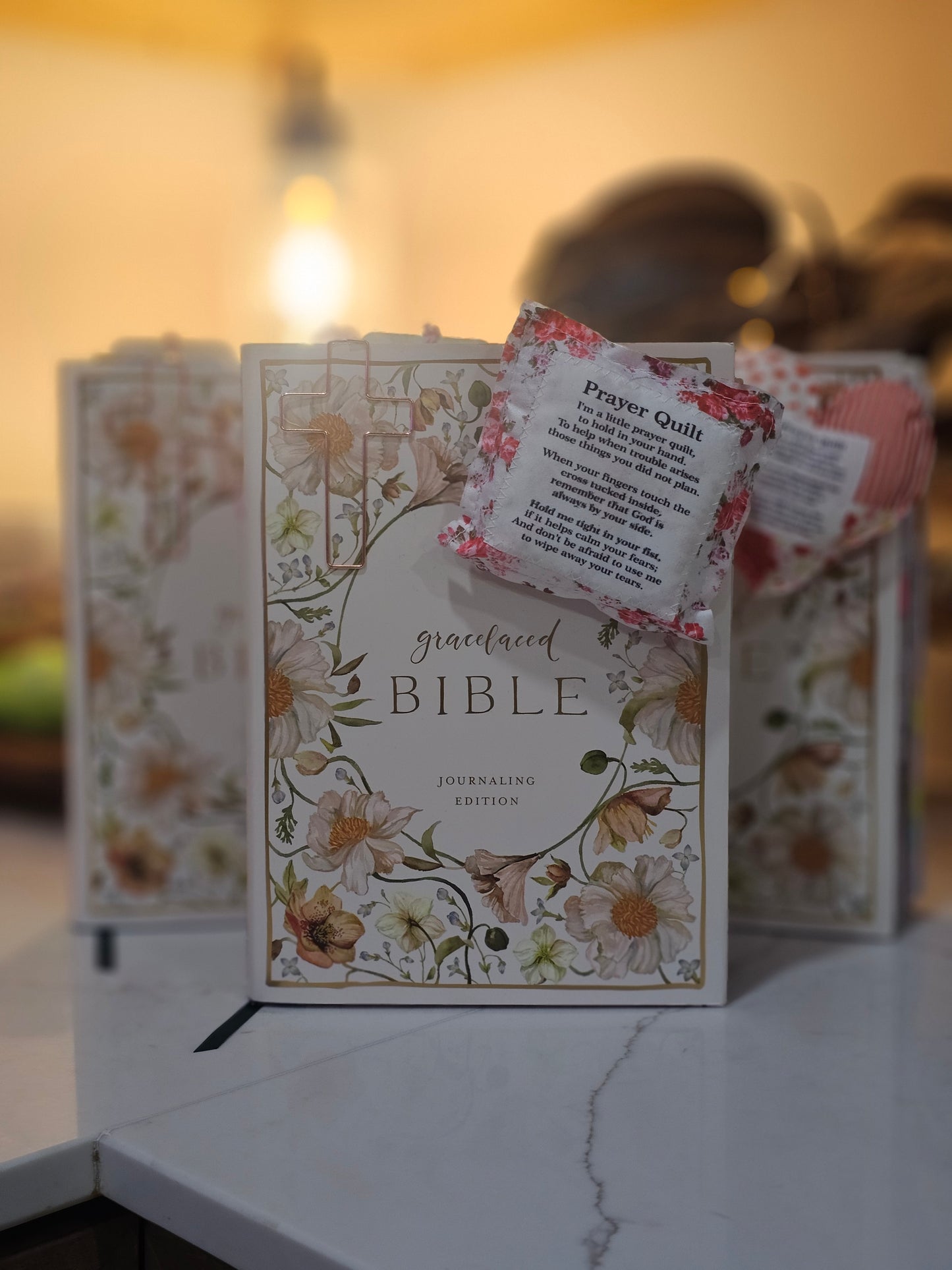 Bible - Loaded GraceLaced Journaling