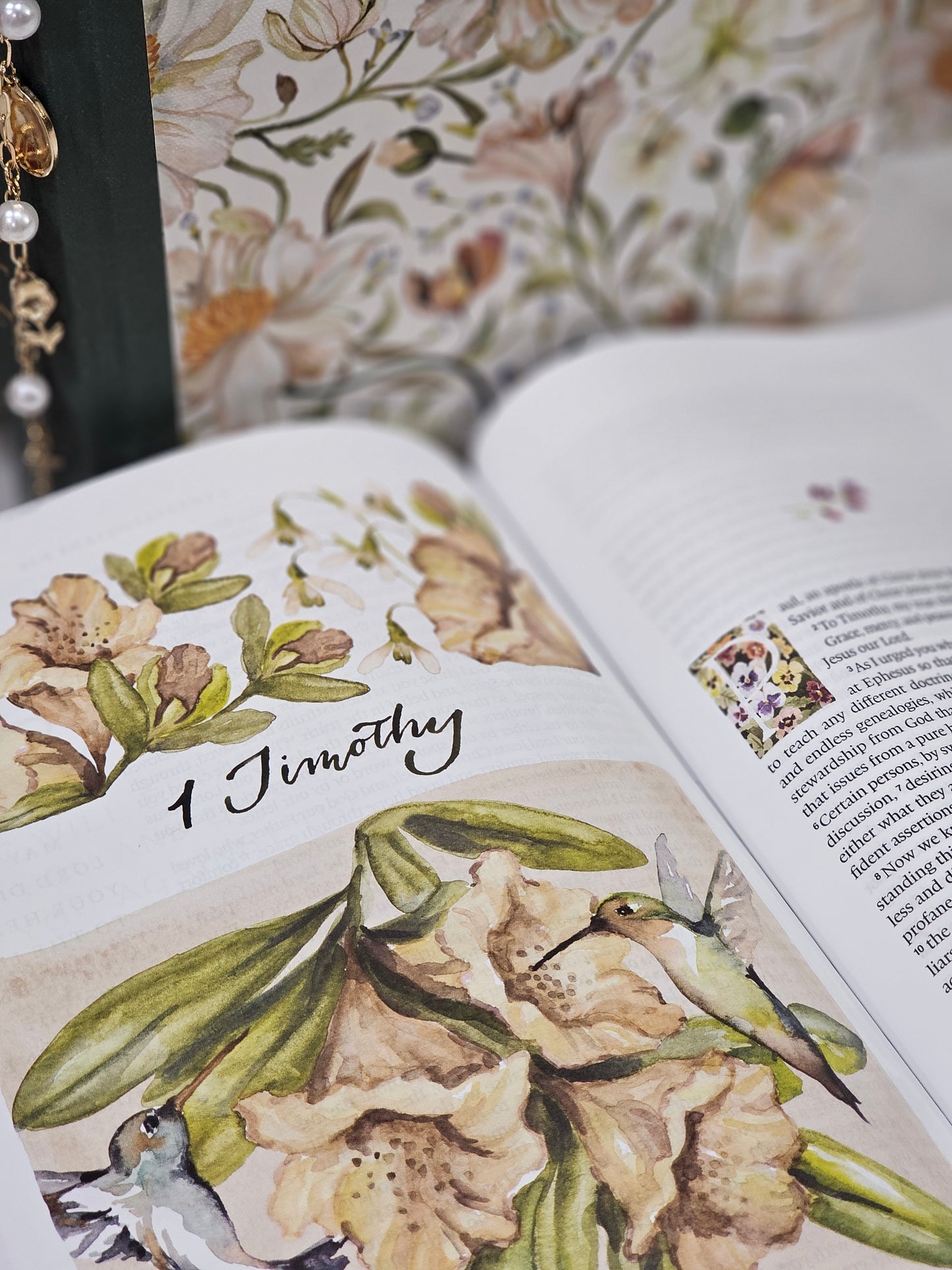 Bible - Loaded GraceLaced Journaling