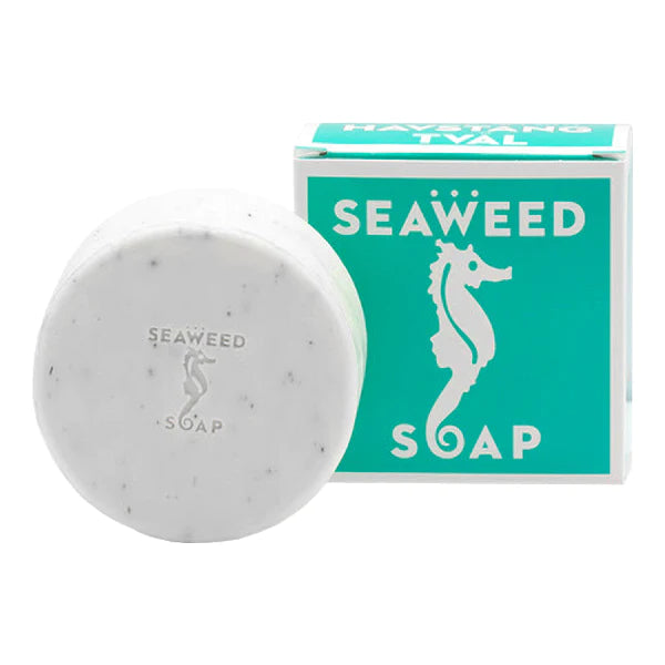 SeaWeed- Swedish Dream Soap