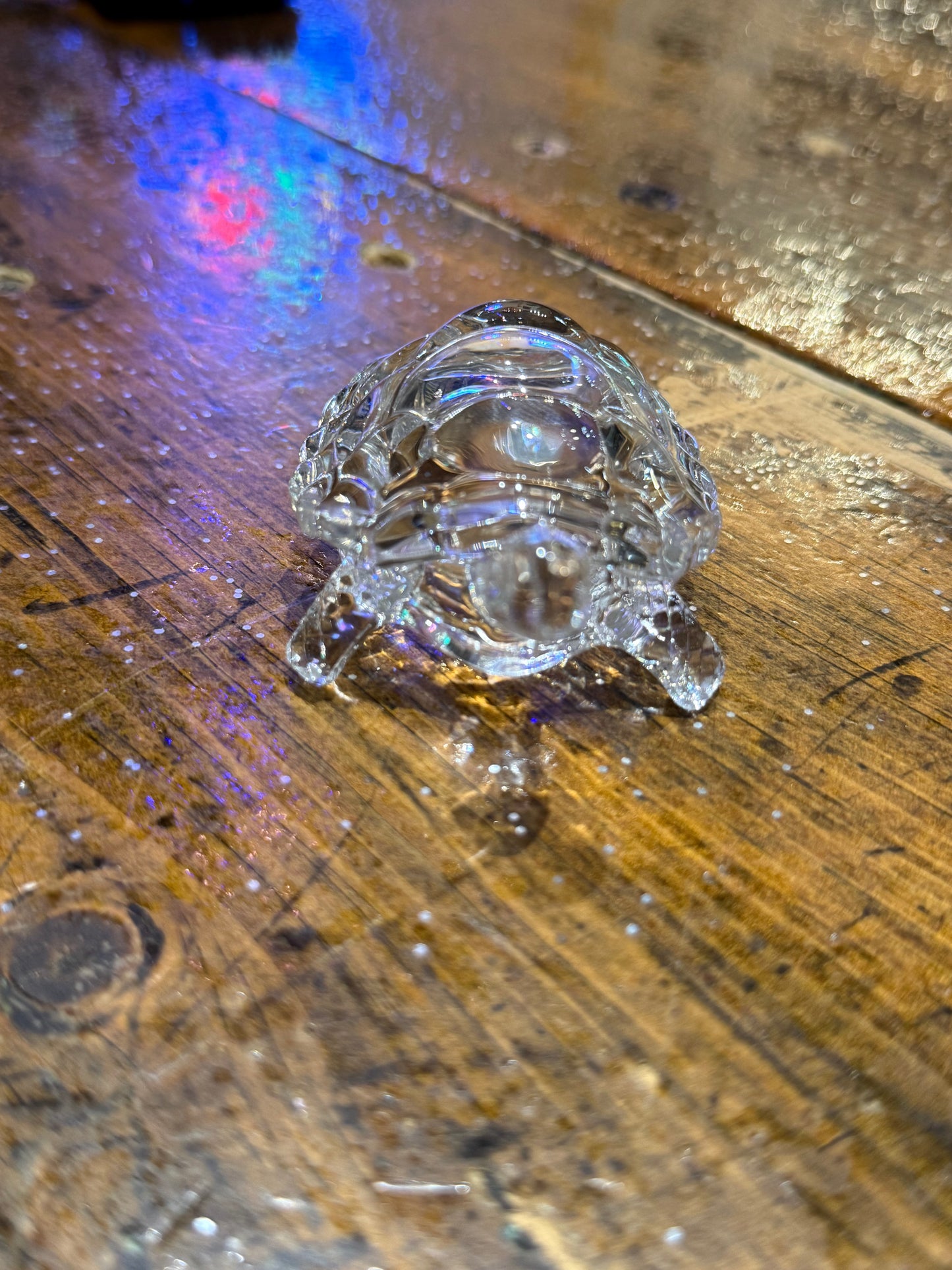 Crystal Turtle