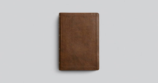 Bible - ESV Dyslexia Friendly