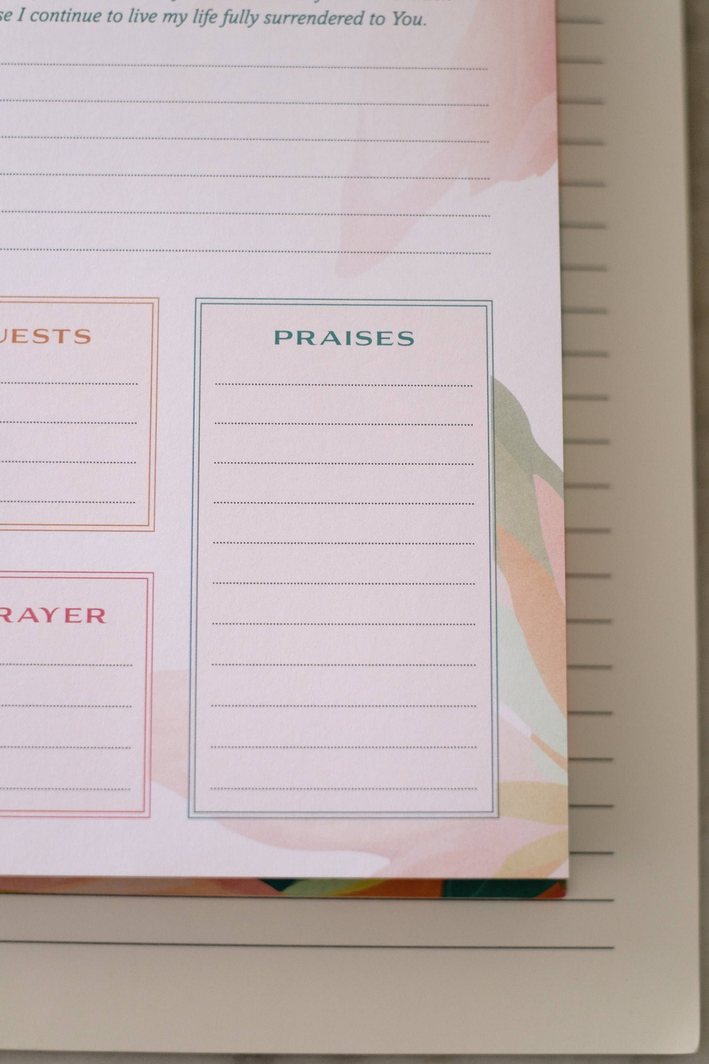 Book - A Year of God's Goodness A Prayer & Praise Tracker for Women