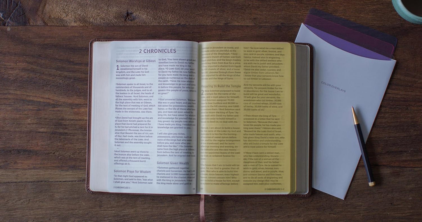 Bible - ESV Dyslexia Friendly