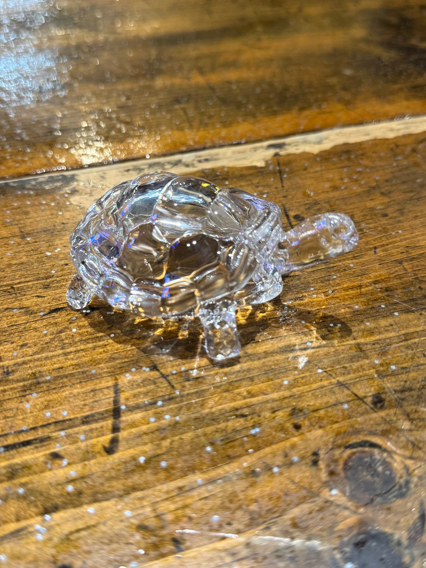 Crystal Turtle
