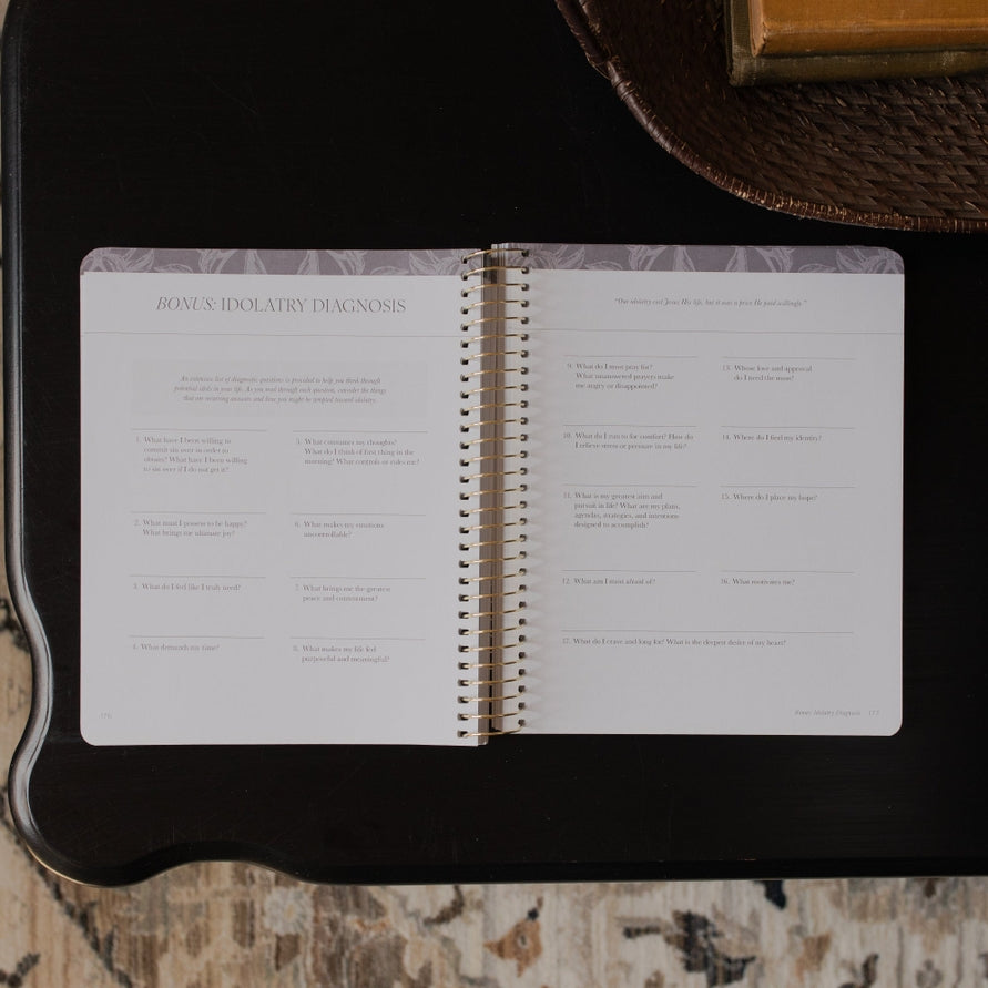 Study Journal - A Year In The Bible Volume 3