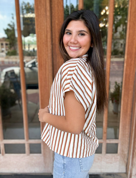 Top | THML Brown Blouse Contrast V-Neck Striped