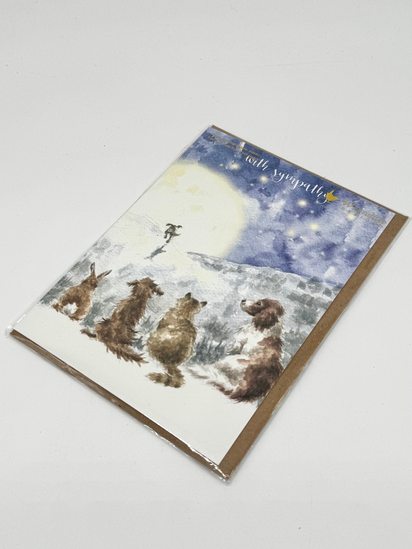 Cards | Sympathy Dog Card with Envelope