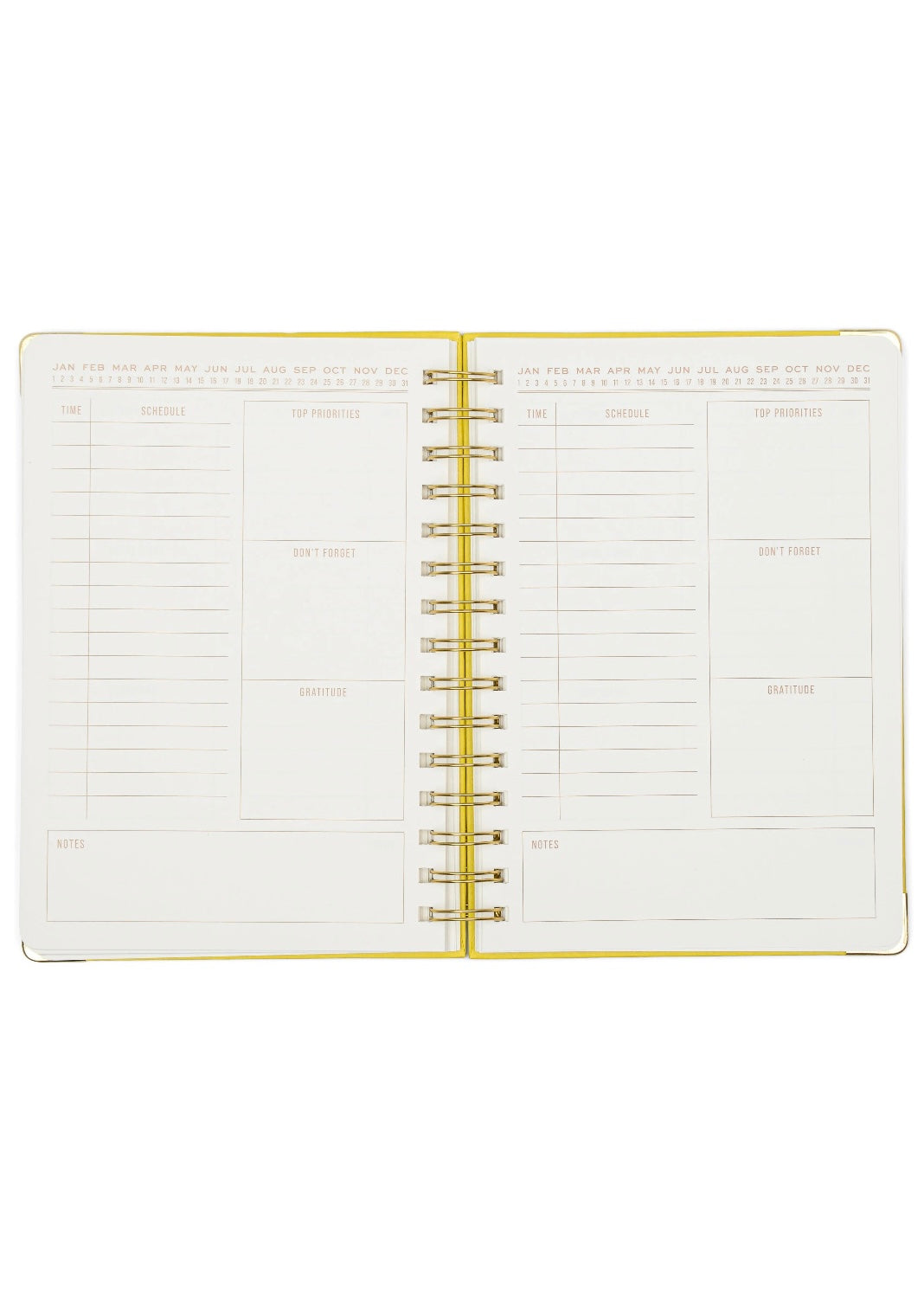 Gift | Designworks Inc 13 MO Perpetual Planner