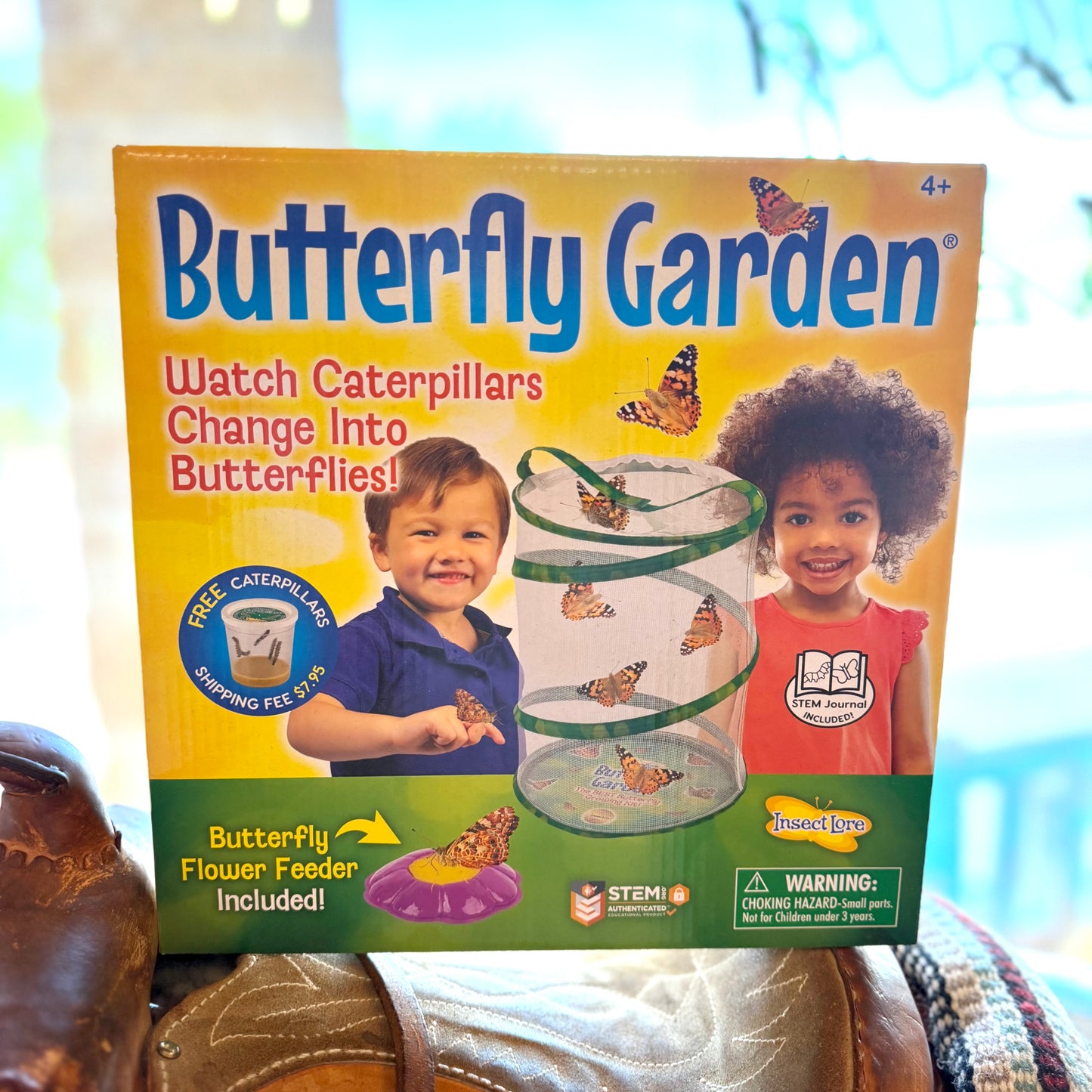 Butterfly Garden Kit - Toy
