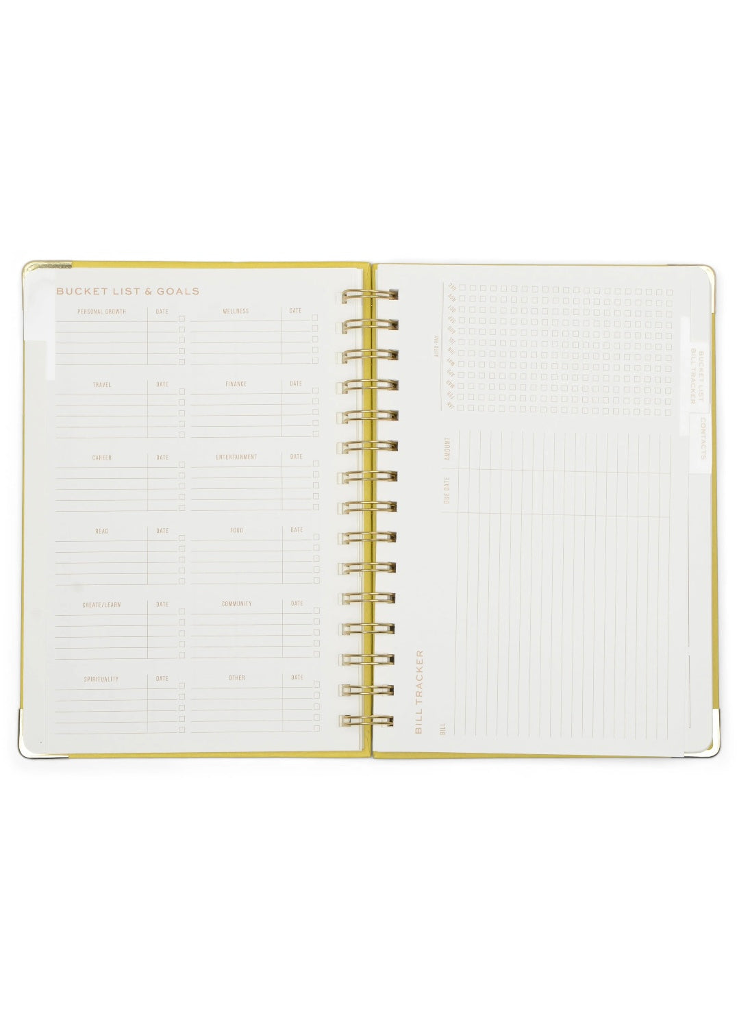 Gift | Designworks Inc 13 MO Perpetual Planner