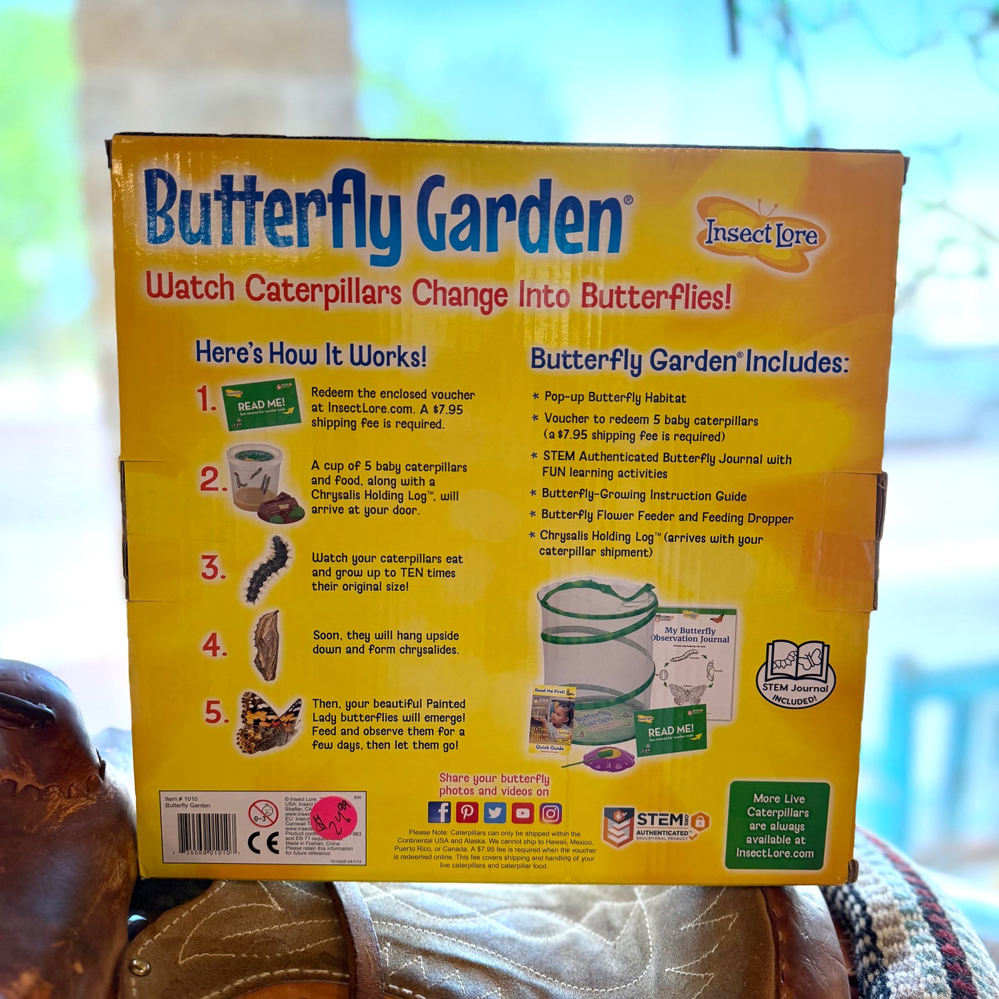Butterfly Garden Kit - Toy