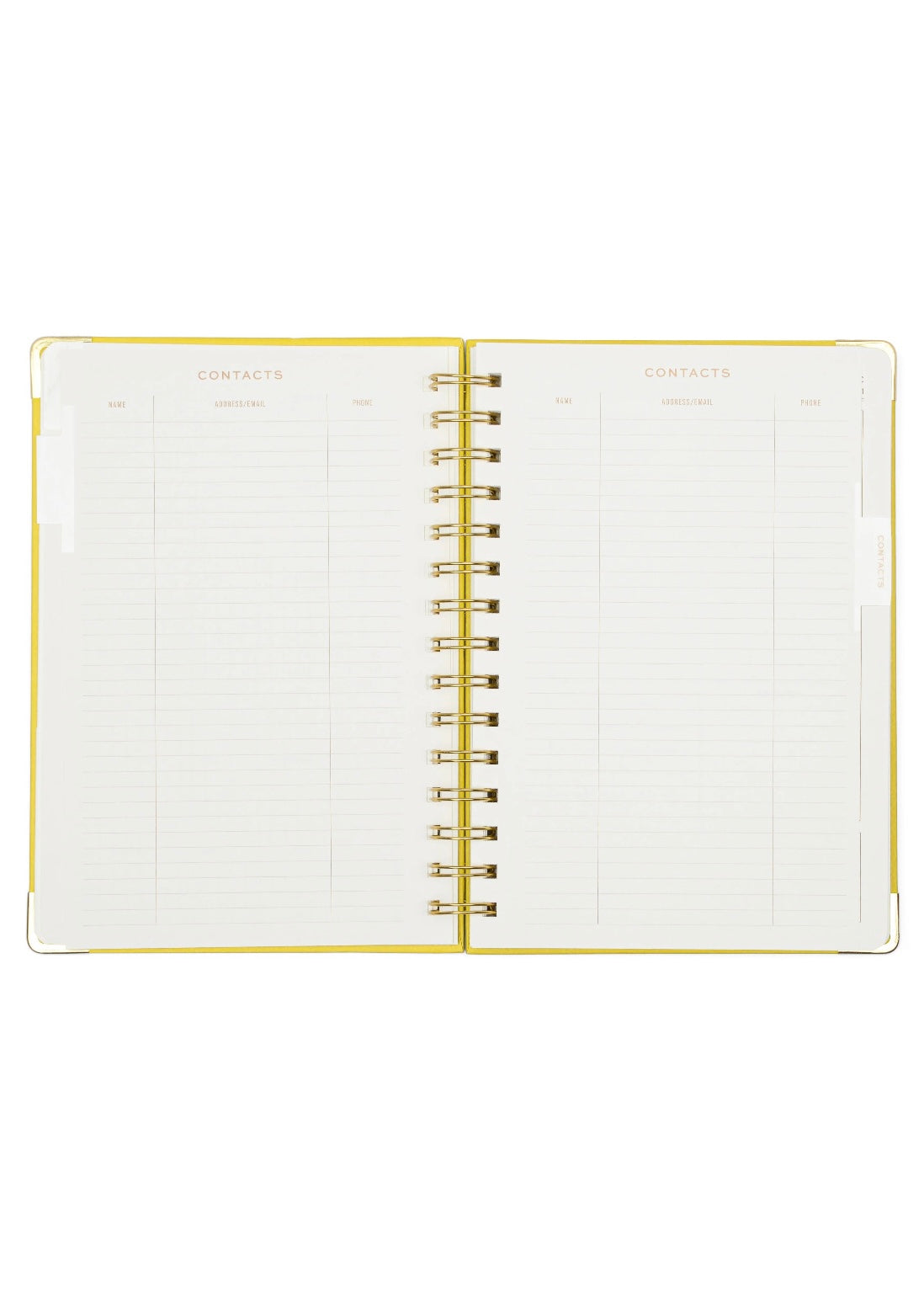 Gift | Designworks Inc 13 MO Perpetual Planner