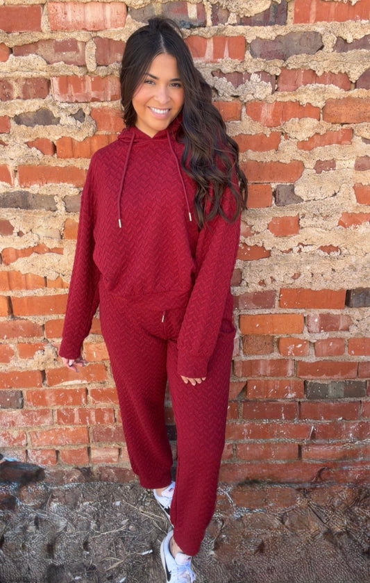 Sets | Sweatshirt & Pants Red Textured Jacquard Hoodied