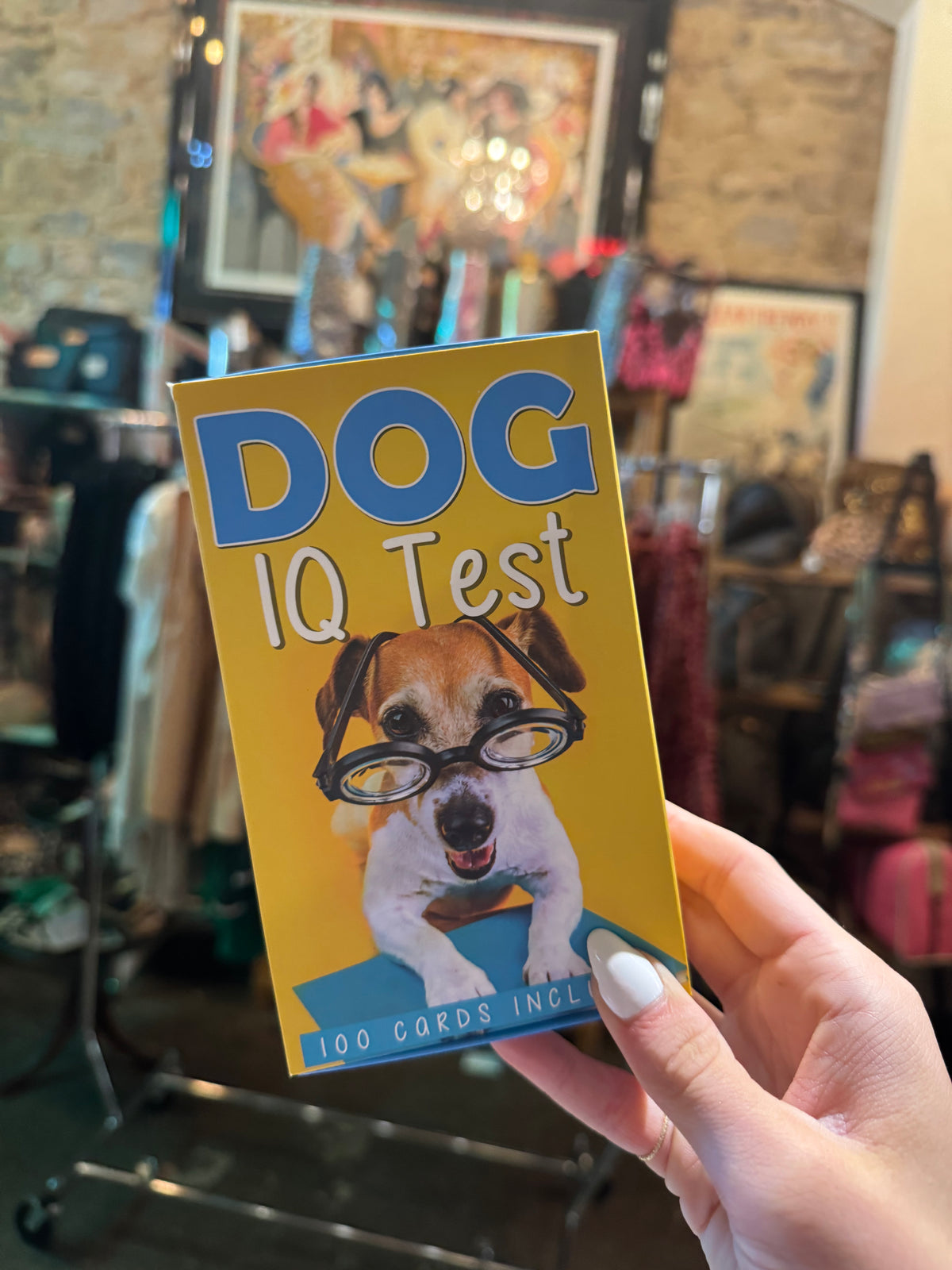 Games | Dog IQ Test