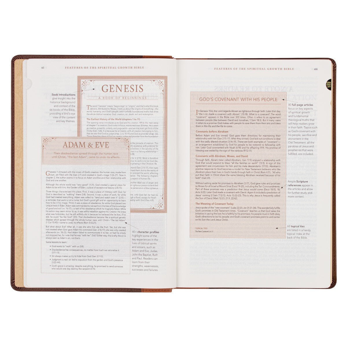 NLT Spiritual Growth Bible Two-tone Espresso and Toffee Brown Faux Leather