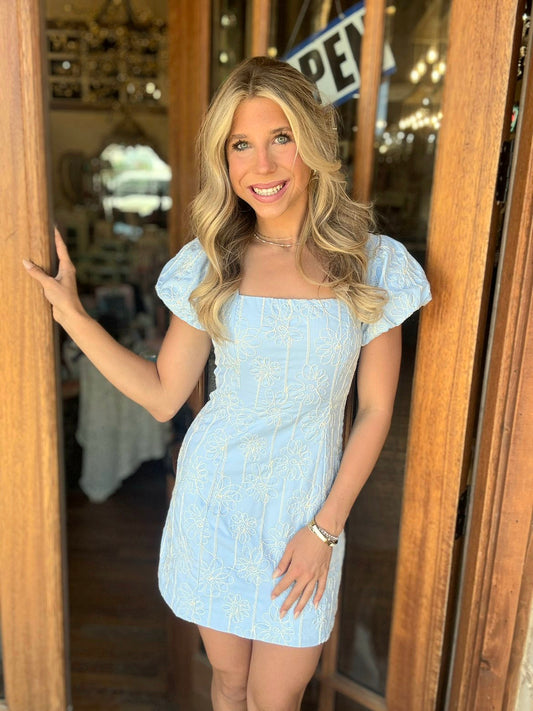Dress - Sky Blossom Embroidered Mini